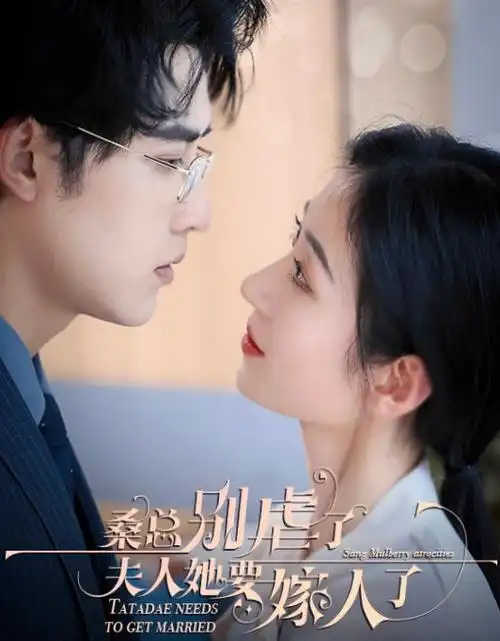 热播剧集连播雾港十七夜在线观看